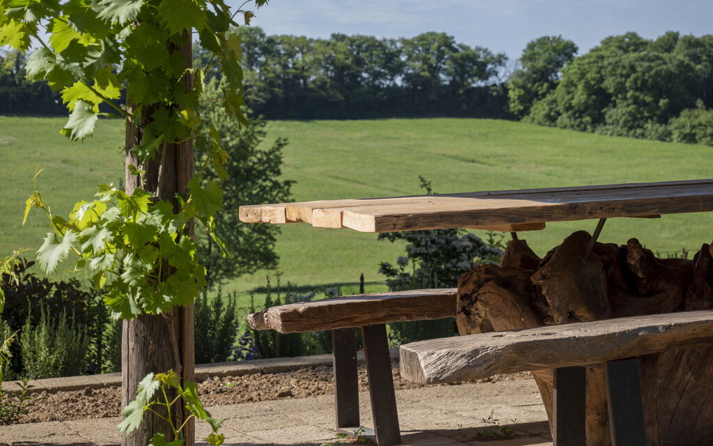 Villa Dahlia: Garden