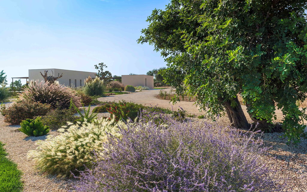 Sicilia 014 - Passo Salina: Garden