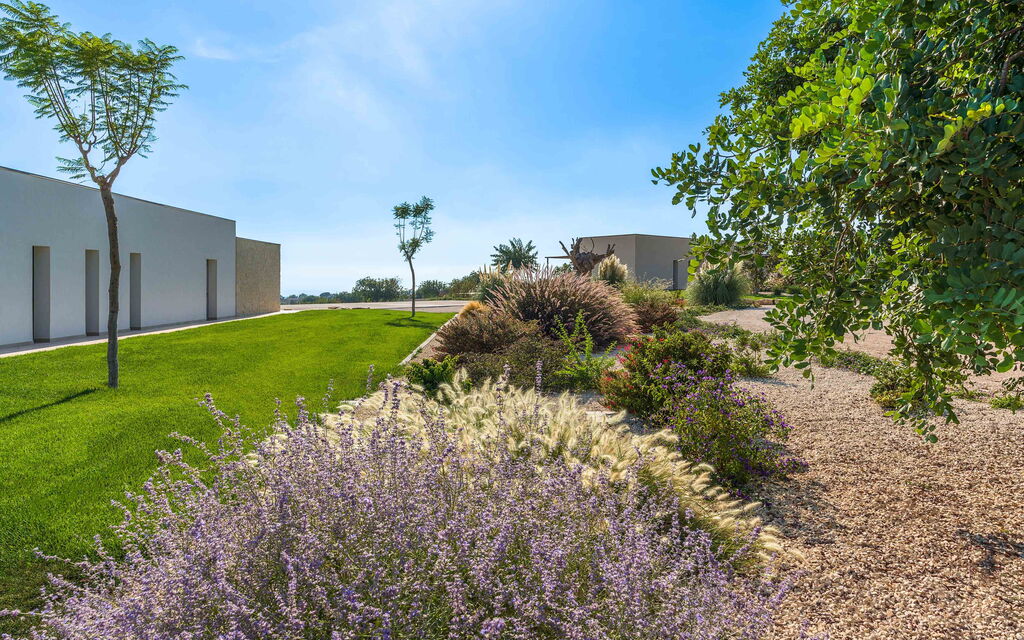 Sicilia 014 - Passo Salina: Garden