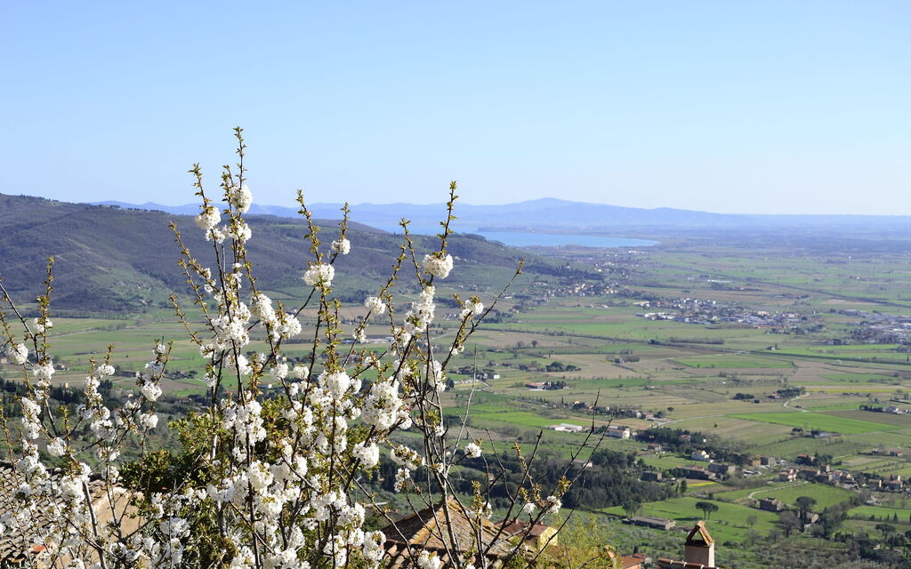 Appartamento Il Teatro: Panoramic view