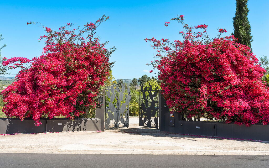Sicilia 045 - Villa Agnese