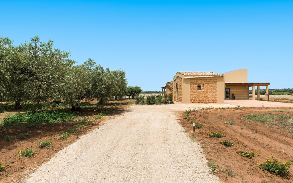 Sicilia 051 - Cavalè