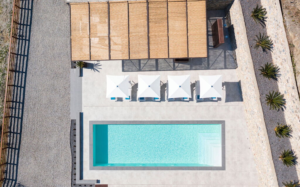 Sicilia 053 - Zagara Bianca