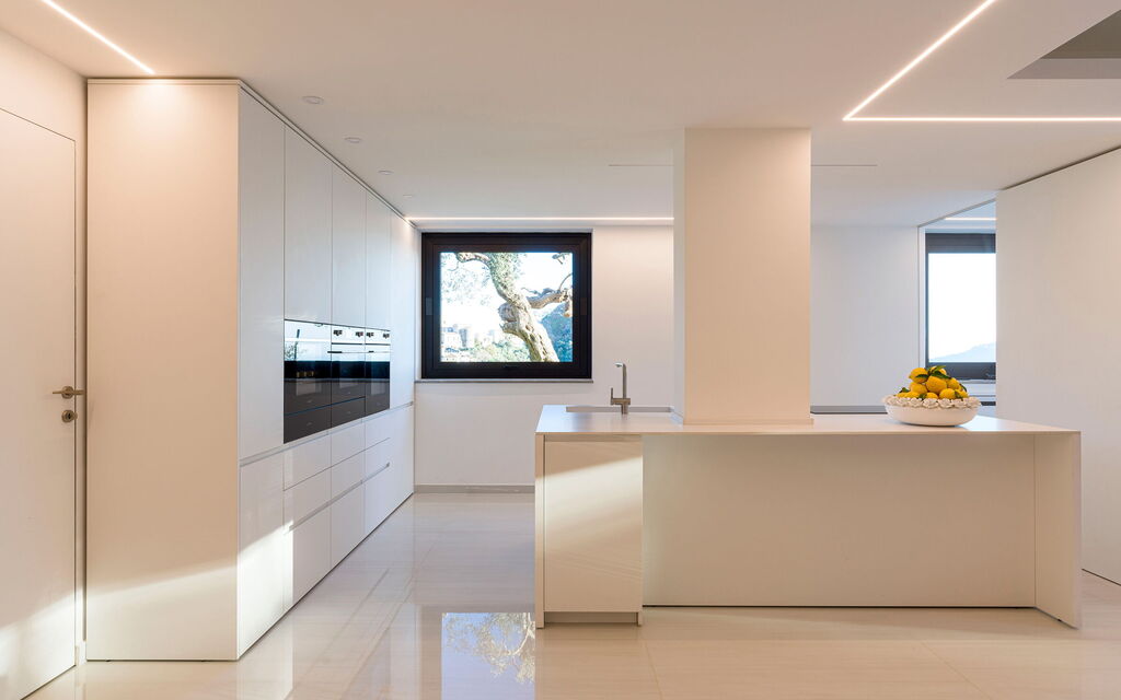 Sicilia 053 - Zagara Bianca