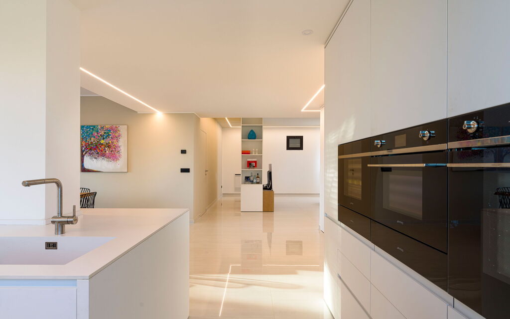 Sicilia 053 - Zagara Bianca