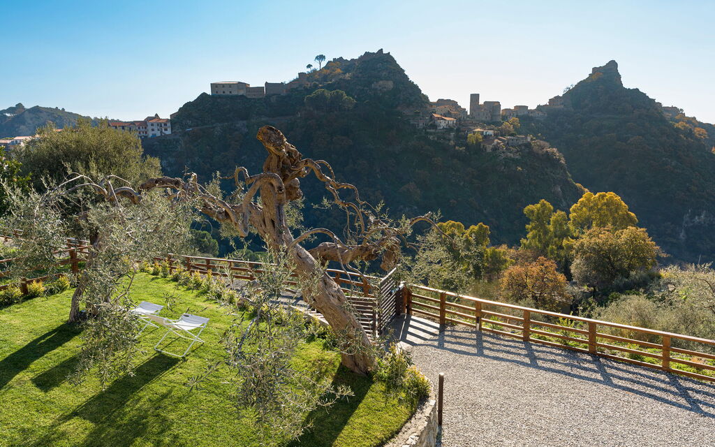 Sicilia 053 - Zagara Bianca