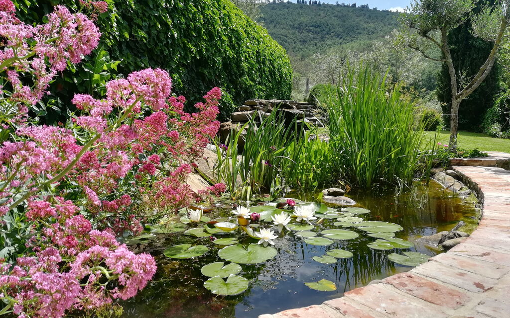 Villa Oleandro: Garden